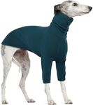 Greyhound Sweatshirts, Turtleneck D