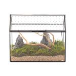 NCYP House Shape Glass Terrarium with Acrylic Lid - 26x15x21 cm - Tabletop Geometric Terrarium Box for Snails, Ferns, Succulents, Air Plants, Indoor Large DIY Decor (Terrarium Only)