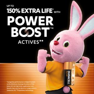 Duracell Plus AA Batteries 12-Pack – Long Lasting Power