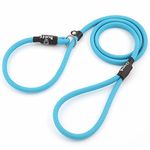 Bunty Rope Slip Lead for Dogs, Small | Anti Pull Dog Lead, One-Size-Fits-All, Durable Woven Nylon, Ideal for All Dogs - No Pull Training Aid, No Collar Needed - 120cm, Light Blue