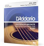 D'Addario EJ37 12-String Phosphor B