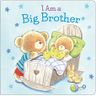 I AM A BIG BROTHER