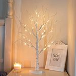 Vanthylit White Twig Christmas Tree with Lights 2FT Tabletop Birch Tree with 24 Warm White LEDs Battery Operated LED Birch Tree for Home Party Wedding Easter Christmas Decoration