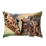 Nicokee Throw Pillow Cover Lovely G