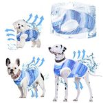 Cooling Shirt For Dogs