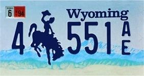 OPO 10 - USA car LICENSE PLATE - 30x15 cms metal replica: WYOMING (C50)