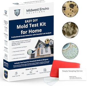 Mold Test 