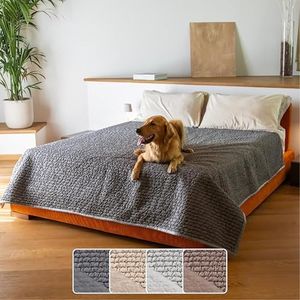 PAULATO BY GA.I.CO. Waterproof Blanket for Bed – Queen Absorbent Couch Cover – Machine Washable Stain-Proof Pad for Large Sofa – Pets Dogs & Cats Friendly Protector - Dark Grey