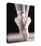 Ballet Ballerina Shoes - Art Wall Picture Canvas Art Cheap Print 20x30 inches