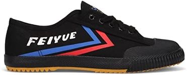 FEIYUE Fe 