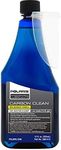 Polaris Carbon Clean Fuel Treatment, for use in 2-Cycle and 4-Cycle Engines, 2881413, 12 Ounces