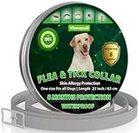 Natural Flea Treatment for Dogs – 8