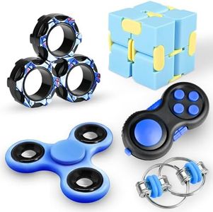 Fidget Toy