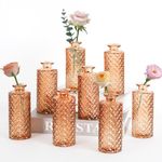 Anquephd Mini Bud Vases As Wedding Centerpieces for Tables,Clear Bud Vases for Flowers,Small Flower Vases Suitable for Birthday Party,Anniversary,Wedding Reception,Baby Shower (Amber, 8PCS)