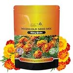 NatureZ Edge Marigold Seeds Mix, Ov