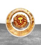 Melbify Lion Whiskey Glass | Set of 1 | 300 ml | Whiskey Glass Gift Set| Golden Whiskey Glasses|Big| Unique| Broad| Thick Bottom | Premium | Lion Head Whiskey Glass| Whiskey Glass with Lion Symbol