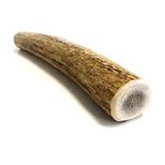 Antler Dog Chews Medium x 1 (Weight - Medium 75-149g), (Size May Vary) Premium Quality Natural Dog Chew Treat Hypo-Allergenic Dog Chew SHC