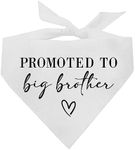 Promoted to Big Brother Baby Announcement Dog Bandana (White, OS 691) GB