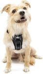 Kurgo Dog Harness | Pet Walking Harness | Small | Black | No Pull Harness Front Clip Feature for Training Included | Car Seat Belt | Tru-Fit Quick Release Style