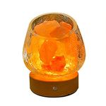 Zinyeme Himalayan Salt Lamp Battery Powered, Himalayan Pink Salt Lamp with Glass Bowl and Build-in Rechargeable Battery