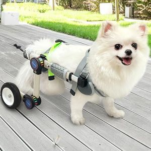 LetPetRun 