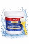TIRALUHEM Crack Seal Glue 900gm with Brush Transparent Waterproof Resin Epoxy for Roof Leakage Crack Seal Agent Roof Water Leakage Solution Water Proof Glue for Waterproofing (900ml)