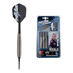 Target Darts Phil Taylor Power Silverlight 18G Brass Soft Tip Darts Set, silver