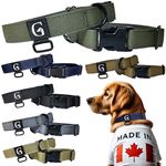 GOOSEMAN’S Gear - 350lb Load Tested Dog Collar - Mil-Spec Nylon & Buckle - Made in Canada - Medium & Large Breeds (Collier Pour Chien) (Coyote Brown, Large)