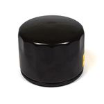 Briggs and Stratton Genuine 842921 Oil Filter