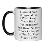 Funny Senior Citizens Coffee Mug,I Came I Saw I Forgot What I Was Doing,Funny Sarcastic Gifts for Old People Elderly Mom Dad Grandma Grandpa Husband Wife Coworker Birthday Christmas Gift White 11oz