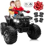 JOYRACER 24V 2 Seater Ride On Toys,