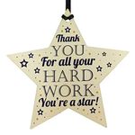 RED OCEAN Thank You Gift For Colleague Employee Student Gifts Award Handmade Wooden Star Plaque Sign Keepsake