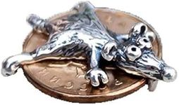 Qklovni Mouse Charm Talisman, Protecting Your Wealth, Money Amulet Mouse Rat on Coin, Cute Mouse Amulet, Coin Amulet Pendant, Mouse Coin Charm Jewelry Accessories (1pcs)