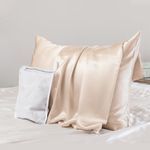 PROMEED 100% Silk Pillowcase for Hair and Skin, Both Sides Grade 6A+ 23 Momme Mulberry Silk Pillow Case with Hidden Zipper, 1400 TC, Soft & Smooth (Standard 20"x26", Champagne)