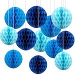 12pcs Blue Paper Honeycomb Balls,Hanging Tissue Pom poms for Party Decoration,6inch&10inch