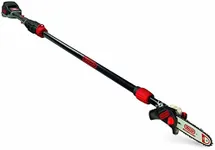 Oregon PS250 Pole Saw with 4.0 Ah B