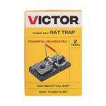 Home Depot Rat Traps