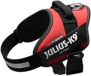 Julius-K9 IDC Powerharness 15 Colors and 9 Adjustable Sizes - Renowned for The Comfort and fit - with Removable Logo Labels - Wide Assortment of Stock Labels are Available (Red, Size 1)