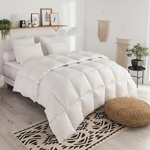 DODO I Couette Légère 220x240 I pour Lit 2 Personnes I 70% Duvet d'oie Neuf I Traitée Anti-Acarien I Tradition I Percale de Coton I Fabriqué en France I Lavable en Machine