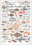 Earth Sky + Water Poster - Fishes o