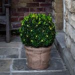 Lights4fun 60 Warm White LED Outdoor Battery Operated Net Light for Topiary Balls
