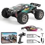 MIEBELY RC Cars 1:16 Scale All Terr