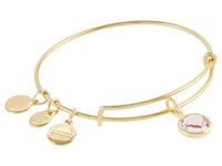 Alex and Ani Birthstones Expandable Bangle for Women, Crystal Charm for Every Month, Shiny Finish, 2 to 3.5 in, Expandable, Crystal