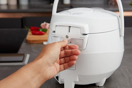 Yum Asia Panda Mini Rice Cooker – Arctic White, Compact 3-Cup