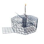 Danielson Octagon 3-Door Ramp Crab Trap