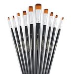 Transon Synthetic Filbert Paint Brush Set 10pcs for Acrylic Watercolour Gouache Art Painting and Craft Painting