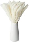 Farmlyn Creek Natural Dried White Pampas Grass with Ceramic Vase for Wedding Reception, Table Centerpiece, Floral Arrangement, Rustic-Style Farmhouse Home Decor, 40 Bundles (16 in)