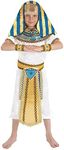 Fun Shack Egyptian Costume Boys, Egyptian Costume Kids, Egyptian King Costume, Kids Pharaoh Costume, Pharaoh Costume Boys L