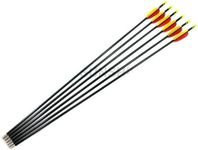 Archery Fibreglass Arrows set of 12