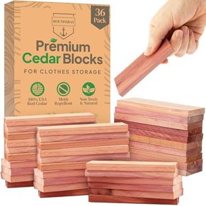 36 Cedar B